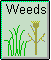 Weeds